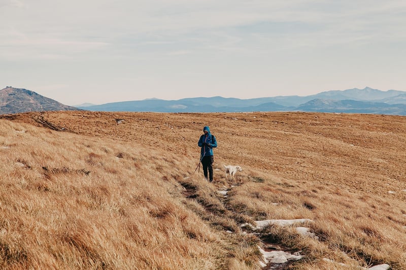Adventure in the Wild